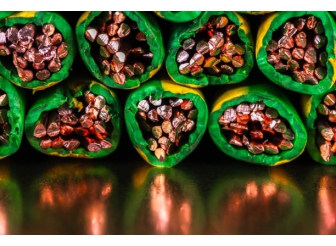 Thu Mua Dây Cáp Đồng Điện Cháy Giá Cao